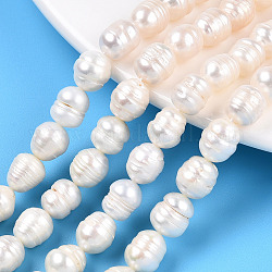 Natural Cultured Freshwater Pearl Beads Strands, Baroque Keshi Pearl Rice Beads, Seashell Color, 8~11x8.5~9mm, Hole: 0.7~0.8mm, about 19pcs/strand, 7.09 inch(18cm)