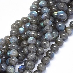 Chapelets de perles en labradorite naturelle , Grade a, ronde, 10mm, Trou: 0.8mm, Environ 40~41 pcs/chapelet, 15.3~16.3 pouce (39~41.5 cm)