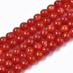 Eau douce naturelle de coquillage perles brins, teinte, ronde, rouge, 4mm, Trou: 0.8mm, Environ 97~99 pcs/chapelet, 14.88 pouce ~ 15.16 pouces (37.8~38.5 cm)