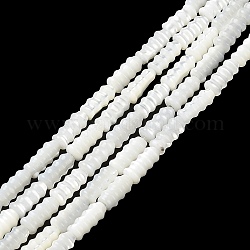 Brins de perles de coquillages naturels de troca, perles de colonne rainurées, fumée blanche, 3.5x8mm, Trou: 0.7mm, Environ 50 pcs/chapelet, 15.55'' (39.5 cm)