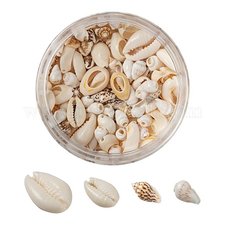 4 style perles de coquillages cauris mélangés naturels BSHE-FS0001-01-1