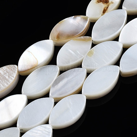 Eau douce naturelle de coquillage perles brins SHEL-Q024-017-1