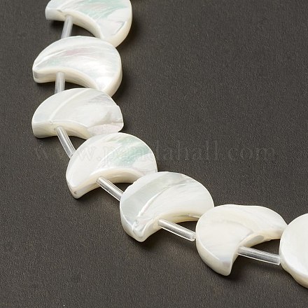 Natural Trochid Shell/Trochus Shell Beads Strands SHEL-F004-01B-1