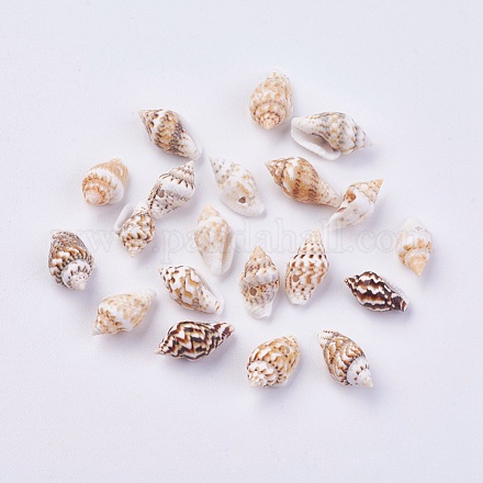 Perles de coquille BSHE-P026-36-1