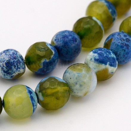 Natural Weathered Agate Faceted Round Beads Strands G-A134-02C-6mm-1