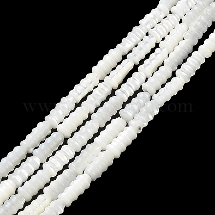 Brins de perles de coquillages naturels de troca BSHE-Z003-17-1