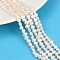 Natural Cultured Freshwater Pearl Beads Strands, Two Sides Polished, Grade 3A++, Seashell Color, 4~5mm, Hole: 0.7mm, about 70~71pcs/strand, 33~33.3cm