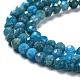Natural Apatite Beads Strands G-J400-E01-02-4