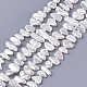 Electroplate Shell Pearl Beads Strands X-SSHEL-S261-01F-1