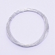 アイアン製ワイヤー  丸線  銀  0.3mm  10 m /ロール IFIN-WH0034-66C-1