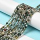 Natural Tree Agate Beads Strands G-H302-A03-02-2