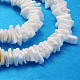 Natural Sea Shell Chips Beads Strands BSHE-Q024-02-3