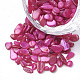 Perles de coquille SHEL-R020-03-2