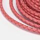 Braided Leather Cord WL-E025-5mm-A09-1