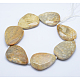 Natural Fossil Coral Beads Strands G-K180-F03-2