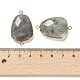 Natural Labradorite Faceted Connector Charms G-F763-02G-03-3