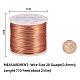 BENECREAT 20 Gauge (0.8mm) Aluminum Wire 235m (770FT) Anodized Jewelry Craft Making Beading Floral Colored Aluminum Craft Wire - Copper AW-BC0001-0.8mm-04-4