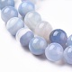 Natural Striped Agate/Banded Agate Beads Strands G-I261-C01-10mm-3