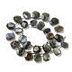 Natural Labradorite Beads Strands G-Z040-A03-01-2