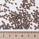 MIYUKI Round Rocailles Beads SEED-X0055-RR4455-4