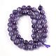 Natural Amethyst Beads Strands G-S333-8mm-020-2