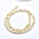 Chapelets de perles en coquille SSHEL-P015-01B-12mm-2