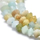 Brins de perles d'amazonite de fleurs naturelles G-F686-18A-02-3