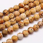 Natural Picture Jasper Beads Strands, Faceted, Round, 10mm, Hole: 1mm, about 38pcs/strand, 15.75 inch