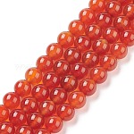 Fili di perline gemstone, corniola, tinto, tondo, arancione scuro, circa8 mm di diametro, Foro: 1 mm, circa 50pcs/filo, 15~16 pollice
