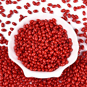 Выпечка краска стеклянные бусины SEED-T007-15I