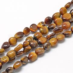 Fili di perline di occhio di tigre naturale, pepite, 8~15x7~12x4~12mm, Foro: 1 mm, circa 30~45pcs/filo, 15.7 pollice