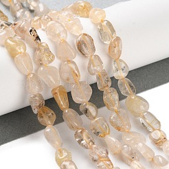 Natürlichen Gold Rutilquarz Perlen Stränge&nbsp;G-P497-01C-33
