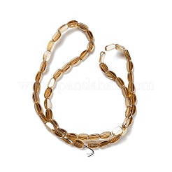 Chapelets de perles en verre électroplaqué&nbsp;EGLA-P064-01A-PL01