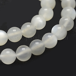 Bianco naturale perline pietra di luna fili&nbsp;G-P335-04-5mm
