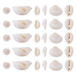 Kit fai da te per la creazione di gioielli con conchiglie naturali&nbsp;DIY-BT0001-37