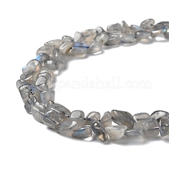 Natur Labradorit Perlen Stränge&nbsp;G-P497-01A-03