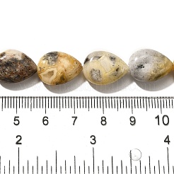 Fili di perline agata pazzesco naturale&nbsp;G-P561-B11-01