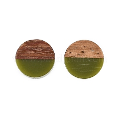 Boucles d'oreilles clous en résine opaque et bois de noyer&nbsp;EJEW-N017-008-B08