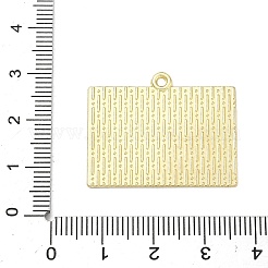 Pendentifs d'émail en alliage&nbsp;ENAM-I075-01G-08