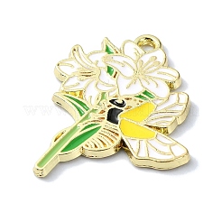 Emaille Anhänger Legierung&nbsp;LS-FIND-Q102-07B