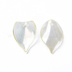 Transparente Acryl Perlen&nbsp;MACR-S373-103-C01