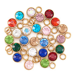 24 Stück 12-farbige Glas-Strass-Anhänger&nbsp;STAS-TA0002-68