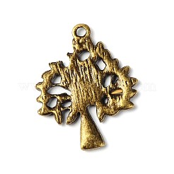 Pendente stile tibetano&nbsp;X-TIBEP-A13000-AB-FF