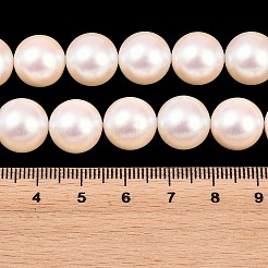 Fili di perle di conchiglie galvanizzate&nbsp;BSHE-C011-01D