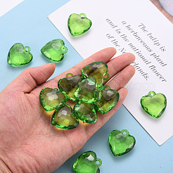 Transparenten Acryl-Anhänger&nbsp;TACR-T024-03B-925