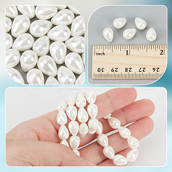 1 Strang polierte Muschelperlenstränge&nbsp;BSHE-NB0001-32
