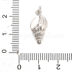 Messing Anhänger & Charms&nbsp;KK-H527-08A-P