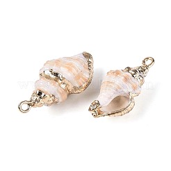 Colgantes de concha marina natural galvanizada&nbsp;SSHEL-T018-11