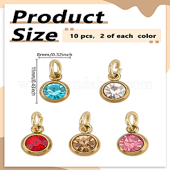 10 pieza de dijes de acero inoxidable 304 de 5 colores&nbsp;PALLOY-LP00007