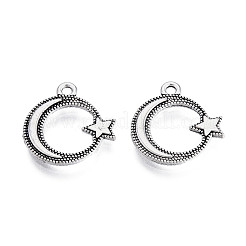 Tibetischer stil Aluminium Anhänger & Charms&nbsp;LS-TIBEP-T010-08AS